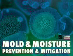 Mold and Moisture: Prevention & Mitigation